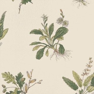 anna-french-woodland-wallpaper-at57853-green-on-natural