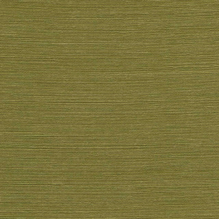 arte-agave-wallpaper-90531-olive