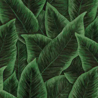 arte-bird-of-paradise-emerald-wallpaper-97572