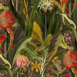 arte-blooming-pineapple-cardinal-wallpaper-97601