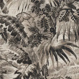arte-tropicali-wallpaper-33003-black-sepia