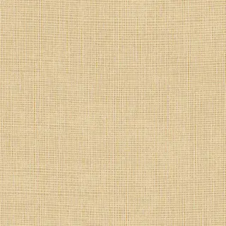 arte-tulle-sand-wallpaper-73080