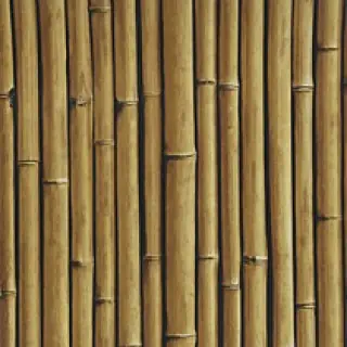 Bamboo Buzz 25 Macadamia
