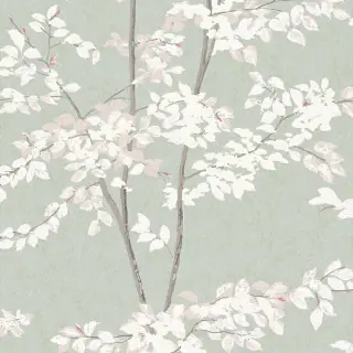 Beech Jade Wallpaper