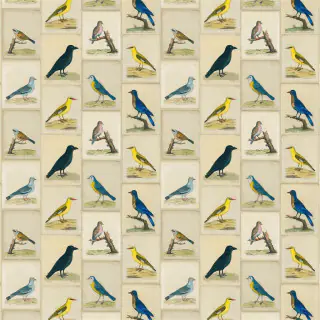 Bird Collage Parchment FJD6005-01