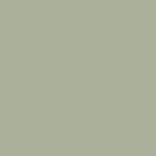 boringdon-green-paint-295-little-greene