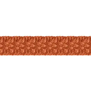 braid-10mm-13-32-31155-9324-trimmings-double-corde-and-galons-2-houles