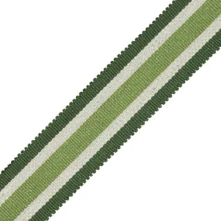 callen-striped-border-bt-57675-08-08-spearmint-trimmings-deauville-samuel-and-sons