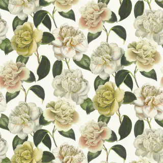 camellia-folly-fjd6020-02-parchment-fabric-picture-book-ii-john-derian