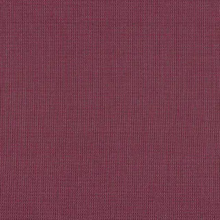 captivant-fuschia-4268-11-35-fabric-elite-textures-camengo
