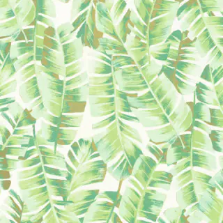 casadeco-botanica-folium-wallpaper-85947340-vert-feuille.jpg