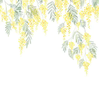 casadeco-mimosa-wallpaper-89172203-bouton-d-or