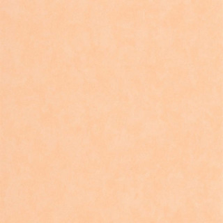 casadeco-vallauris-wallpaper-89853232-apricot