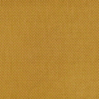 casal-charles-fabric-13521-42-miel