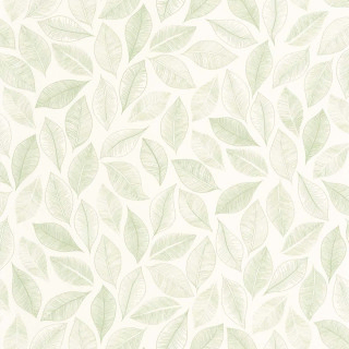 caselio-bliss-wallpaper-105380755-blanc-vert-mousse