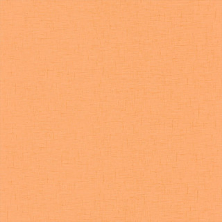 caselio-uni-gaze-wallpaper-103763000-orange