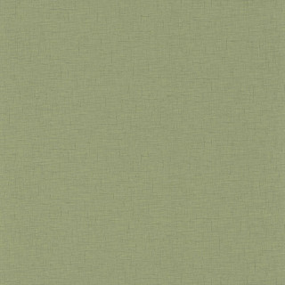 caselio-uni-gaze-wallpaper-103767228-vert-olive