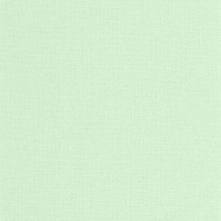 caselio-uni-mat-wallpaper-104017468-vert-d-eau
