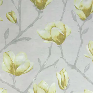 Chatsworth Daffodil