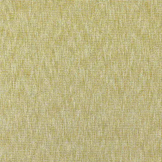 clarke-and-clarke-avani-chartreuse-fabric-f1527-03