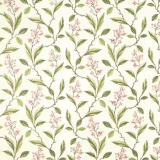 Clarke-And-Clarke-Melrose-Pink-Apple-Fabric-F1008-05