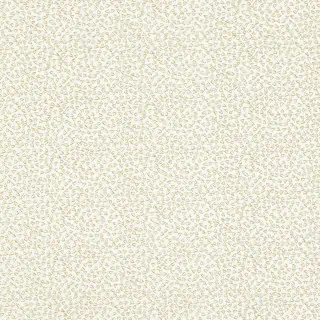clarke-and-clarke-ricamo-fabric-f1548-01-ivory