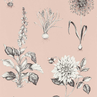 clarke-and-clarke-roseraie-wallpaper-w0197-01-blush