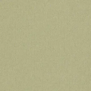 clarke-and-clarke-rowland-fabric-f1570-08-olive