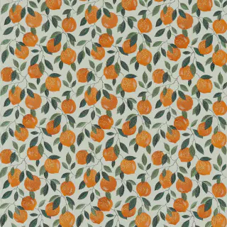 clarke-and-clarke-sicilian-orange-fabric-f1508-02