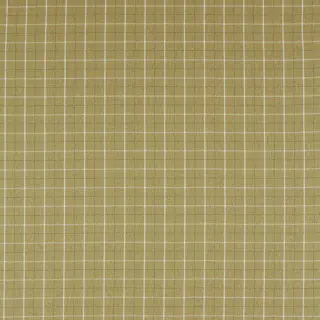 clarke-and-clarke-thornton-fabric-f1571-05-olive
