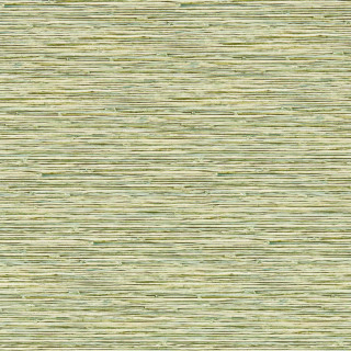 clarke-and-clarke-xan-wallpaper-w0192-04-palm