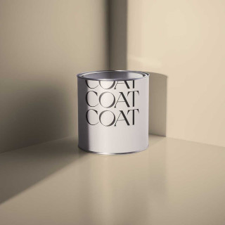 coat-paints-well-grounded-paint-flat-matt