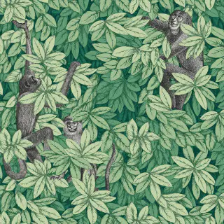 cole-and-son-foglie-e-scimmie-wallpaper-123-10049-forest-green