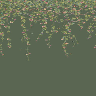 cole-and-son-hummingbirds-flora-wallpaper-124-2012-fuchsia-on-racing-green