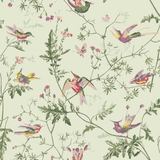 cole-and-son-hummingbirds-wallpaper-100-14070-multi-old-olive-on-eau-du-nil