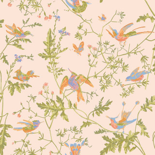 cole-and-son-hummingbirds-wallpaper-124-1002-tangerine-and-olive-on-blush