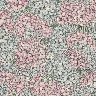 cole-and-son-ortensia-wallpaper-123-9045-pink-and-blue