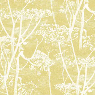 cow-parsley-f111-5020-fabric-icons-cole-and-son