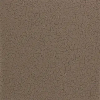 cracked-earth-312836-bronze-wallpaper-oblique-zoffany