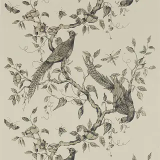darnley-312849-dove-wallpaper-darnley-zoffany