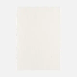 dedar-wide-linen-leggerissimo-fabric-00t2301500-001-bianco