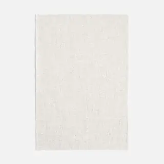 dedar-wide-linen-sable-fabric-00t2301200-003-argento
