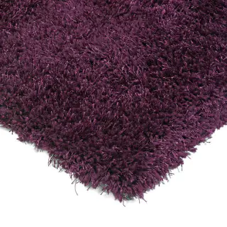 diva-purple-rugs-fashion-floors-asiatic-rug