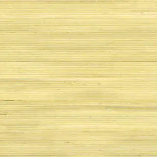 elitis-coiba-wallpaper-rm-110-60