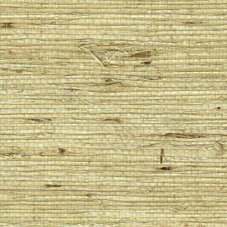 extra-fine-arrowroot-springtime-1737-wallpaper-phillip-jeffries.jpg