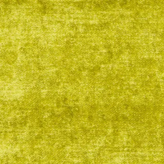 fabric-appia-chartreuse-f1743-21-essentials-nabucco-fabric-designers-guild