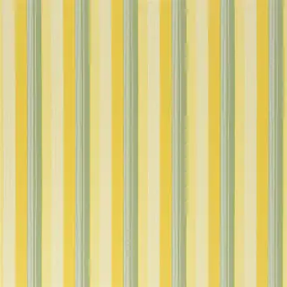 fabric-greenport-stripe-yellow-green-frl080-02-signature-classics-country-coordinates-ralph-lauren.jpg