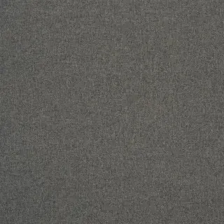 fabric-rothesay-graphite-fdg2444-38-rothesay-designers-guild