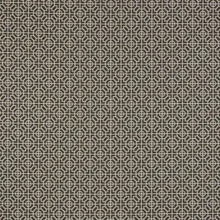fabric-sussex-noir-f1710-01-cassan-fabric-designers-guild