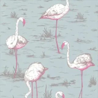 Flamingos 66-6044